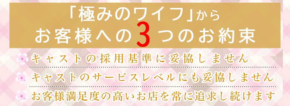 「極みのワイフ」からお客様への３つのお約束