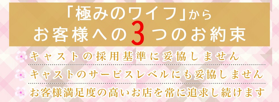 「極みのワイフ」からお客様への３つのお約束